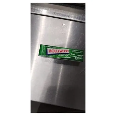 Hollywood Chlorophylle chewing gum, 31 g